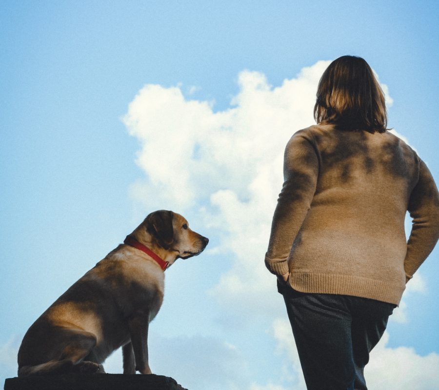 Tanja Thies Coaching Meerbusch - Live-Coaching, Resilienz, Sinn-Coaching - Tanja Thies mit Hund