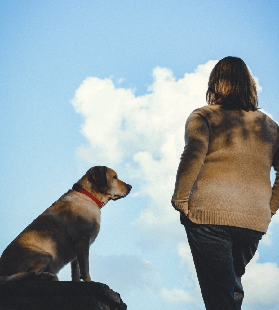 Tanja Thies Coaching Meerbusch - Live-Coaching, Resilienz, Sinn-Coaching - Tanja Thies mit Hund